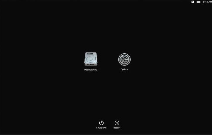 The boot picker, showing Macintosh HD and Options